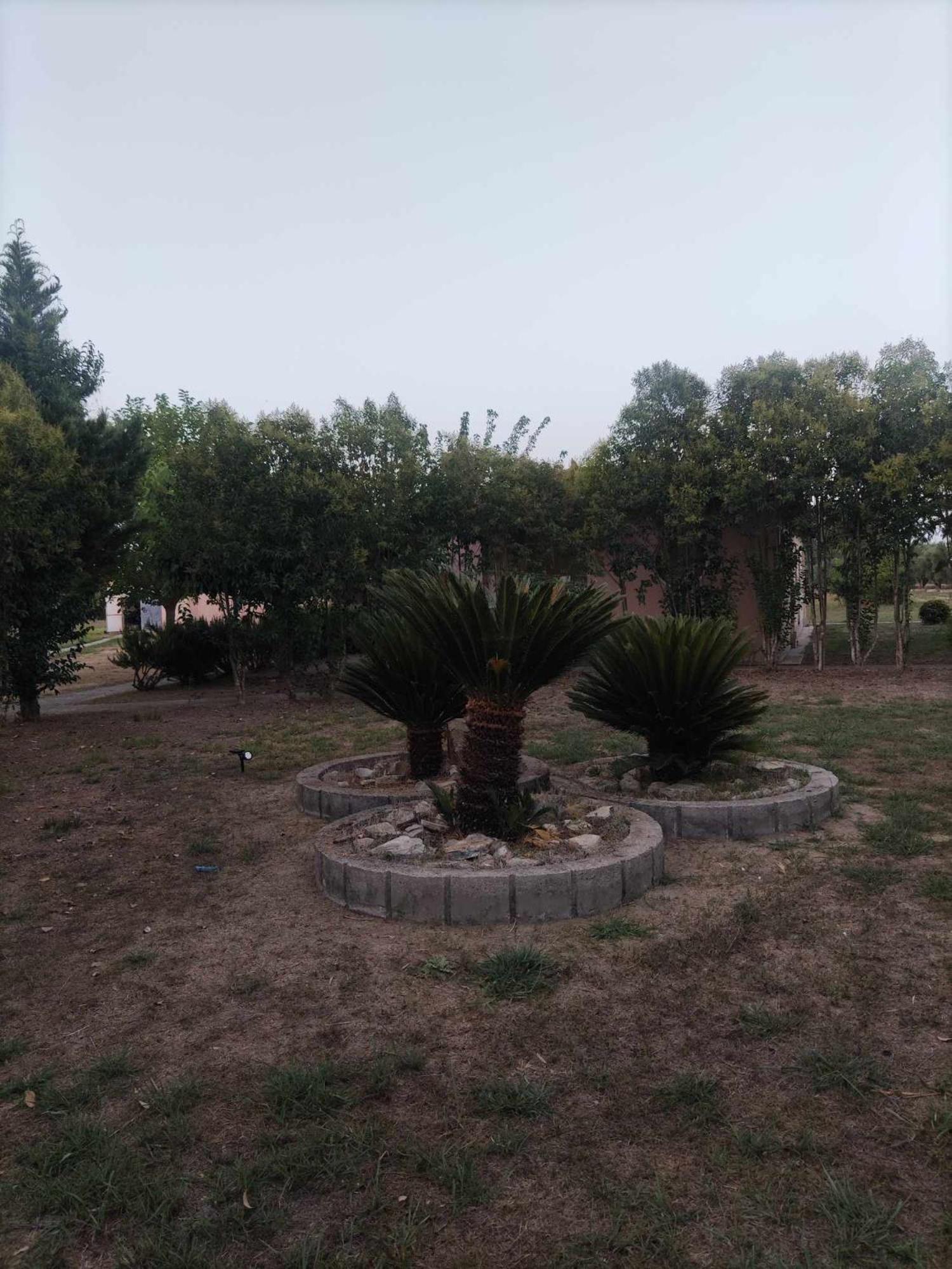 Romvi Village Amaliada Zewnętrze zdjęcie